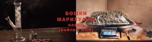 крисы Арсеньев