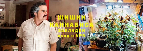 крисы Арсеньев