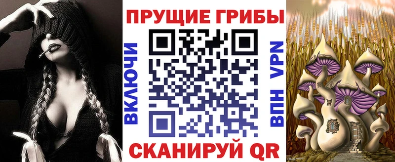 Псилоцибиновые грибы MAGIC MUSHROOMS  купить наркотик  нарко площадка наркотические препараты  Орёл 